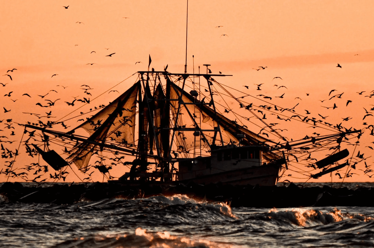 Live To Dive: Expert Inshore Trips